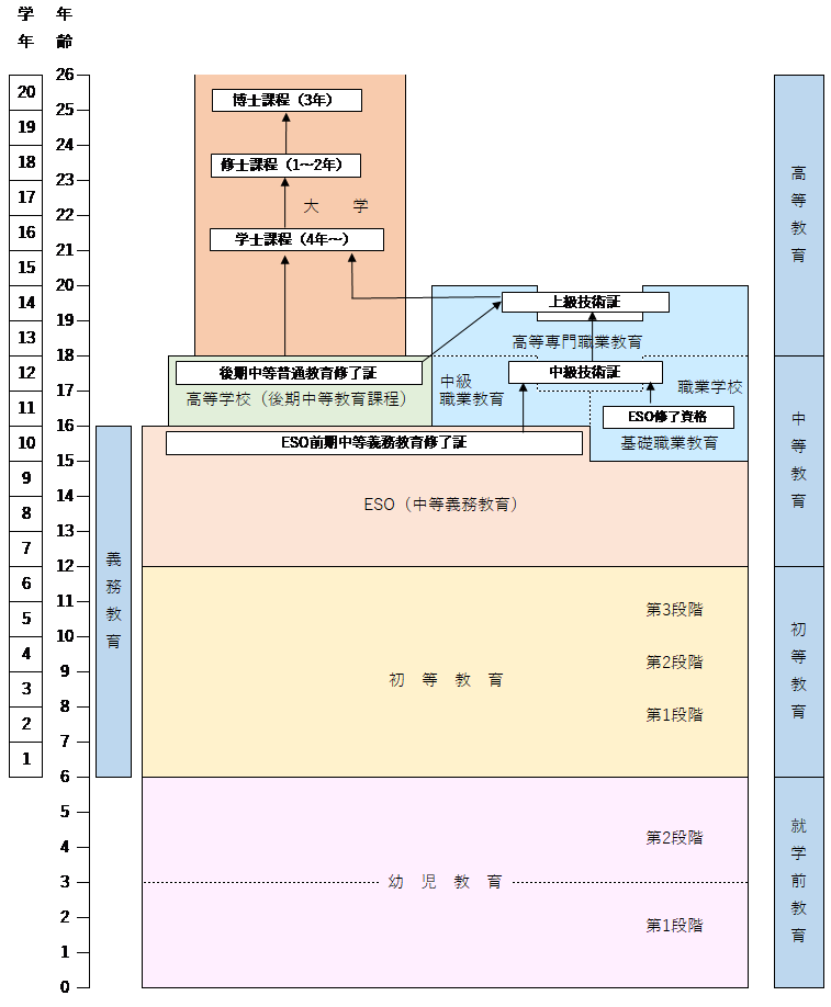 スペイン教育制度図